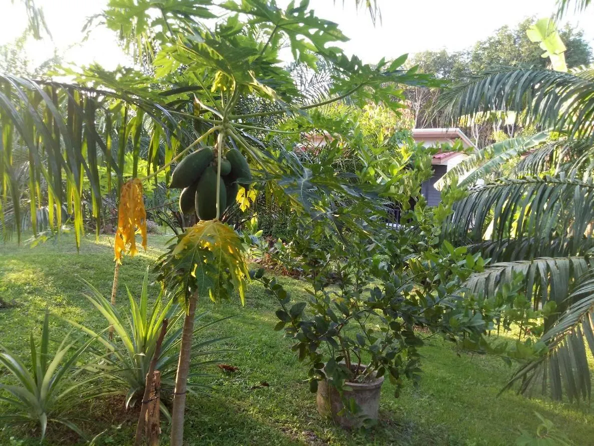 度假村 班瑞纳兰达酒店 Ko Lanta